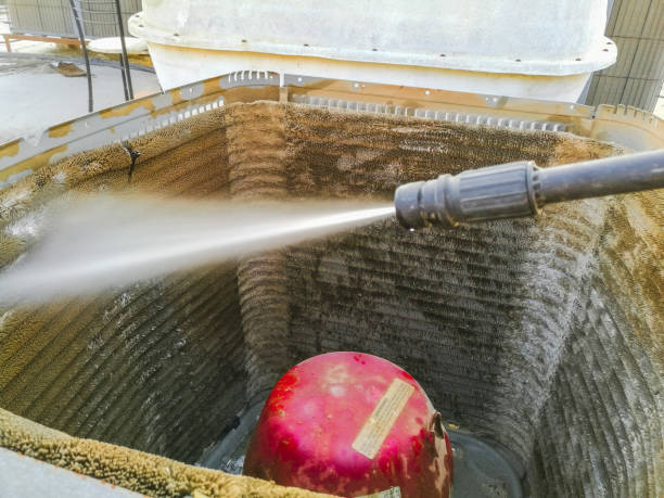 Best Air Duct Mold Removal  in Cridersville, OH