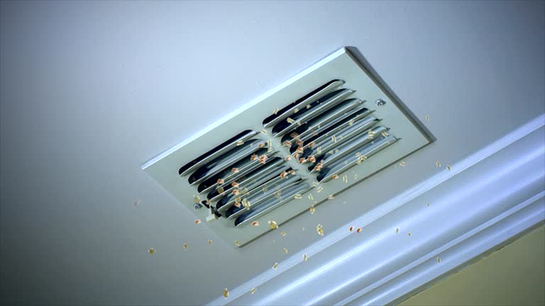 Best Air Duct Cleaning Company Near Me  in Cridersville, OH